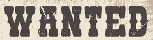 wanted wanted